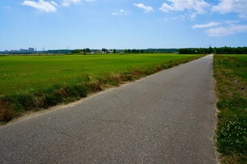 地平線に伸びる田舎の道路 