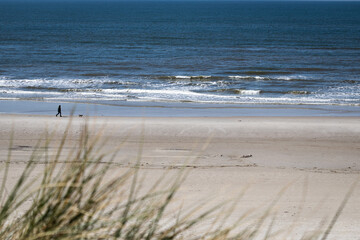 Mann und Hund bei Strandspaziergang am Meer