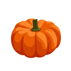 Orange pumpkin vector illustration in cartoon style. Pumpkin for thanksgiving on white background. Autumn fruit. Harvest. Isolated.