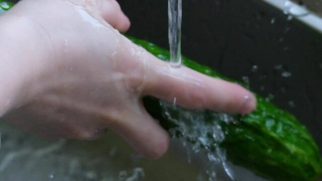 hand washing cucumber vegetable under tape water. super slow motion
