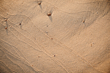 texture of the sand