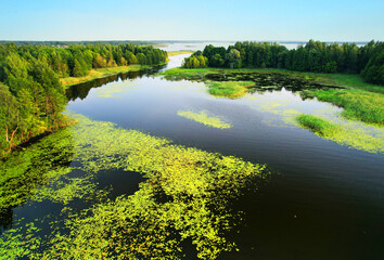 Fototapeta na wymiar Lake in wild nature, aerial view. Lake on sunrise in summer. Aerial panoramic landscape view of lake in wildlife. Drone view of wetland in green colors. Rural environment, clean air and ecology. Pond.