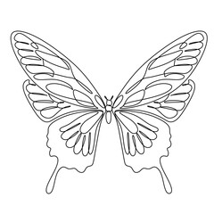 Woman Head with Butterfly Continuous Line Drawing Set. Female Nature One Line Abstract Portrait. Woman face Minimalist Contour Wall Art Design. Elegant logo for cosmetics or hair stylist brand