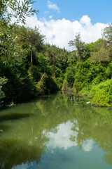 Ataturk kent ormani in Istanbul. Ataturk City Forest. Green spaces in Istanbul city. Green parks or...