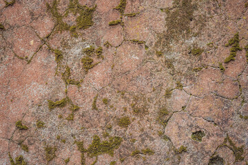 Dirt Wall Background.Cement wall background.Moss old cement wall