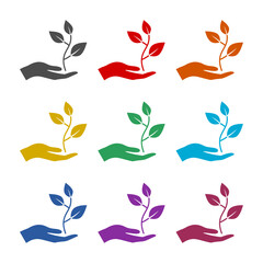 Plant, sprout in a hand icon isolated on white background. Set icons colorful