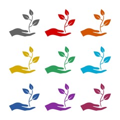 Plant, sprout in a hand icon isolated on white background. Set icons colorful