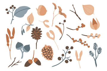 Vector set of flat floral elements. Simple autumn collection. Flower silhouettes graphic design. Seed, pine cone, berries, acorn, leaves. Hand drawn vector botany set. Modern fall seasonal decor - 512383002