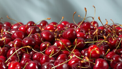 Heap of red sweet cherry berries with drops of water on blue background.