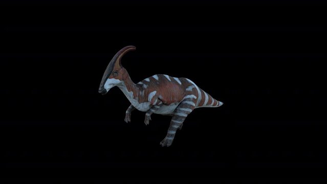 Parasaurolophus Dinosaur Running, Animation.Full HD 1920&times;1080. 08 Second Long.Transparent Alpha Video. LOOP.