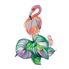 Flamingo, colorful summer leaves watercolor illustration on white