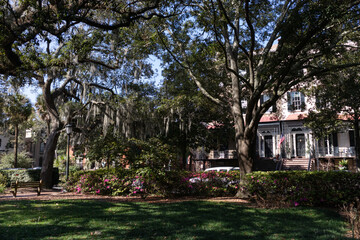 Monterey Square with Green Trees and Spanish Moss in the Historic District of Savannah Georgia