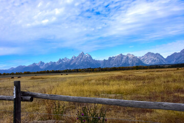 Obraz premium View of the Grand Tetons