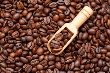 Roasted coffee beans on a wooden  scoop