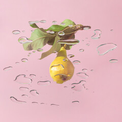 Fresh ripe yellow pear with green leaves and water drops against bright pink background. Minimal summer or autumn sweet healthy food concept. Trendy creative fruit composition.