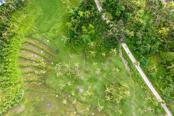 Top view of a narrow road passing by farmland. At a local village in Tubigon, Bohol, Philippines.