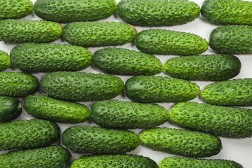 Fresh green cucombers as a background