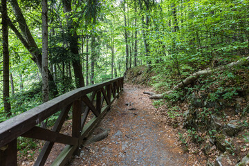 Obraz premium Walking path with wooden handrails near Punkva caves in the Moravian Karst, Czech Republic