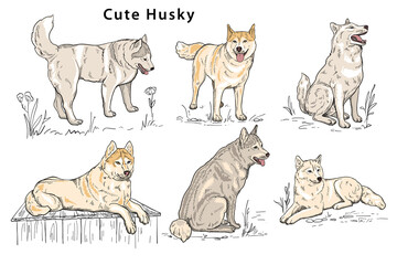 Cute husky Hand-drawn doodle vvector silhouette in different poses, the dog is sitting, lying, standing, looking © Sg.Lapchi