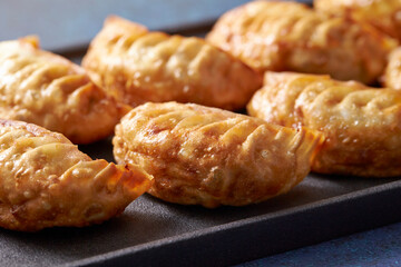 Homemade dumplings on a plate	
