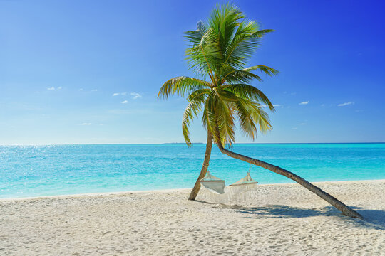 A hammock on the palm tree on the beach of a tropical island