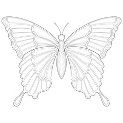Hand drawn butterfly with simple patterns on a white isolated background. Insect, summer. for coloring book pages.