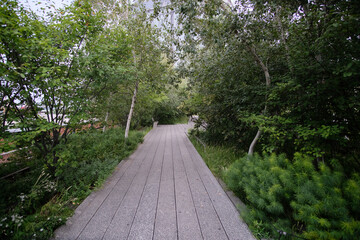 strada solitaria nel panorama di newyork
