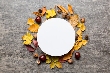 Autumn composition with round paper blank and dried leaves on table. Flat lay, top view, copy space