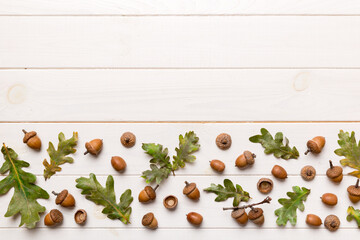 Naklejka na ściany i meble Branch with green oak tree leaves and acorns on colored background, close up top view