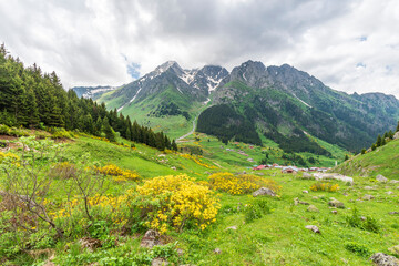 Elevit Plateau view in Rize Province of Turkey