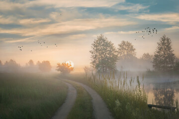 Naklejka na ściany i meble Sunrise in summer. Lake, fog, birds, grass, and an unusual sky.