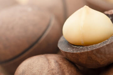 background macadamia nuts close-up