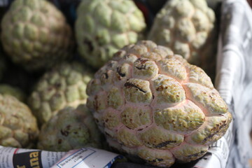 Obraz premium CHIRIMOYA