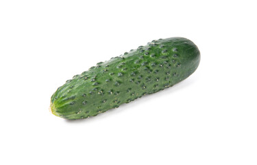 Fresh whole organic green cucumber vegetable isolated on white