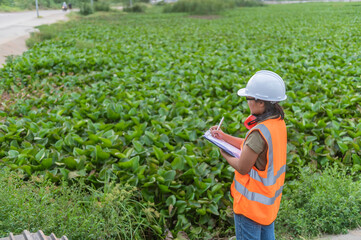 Environmental engineers work at the water storage plant, check the pH of the water, check the quality of the water.