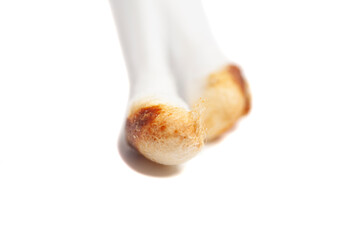 Ear wax on cotton swab isolated on white background