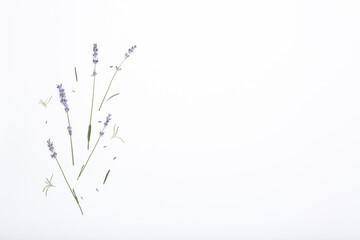 Fresh branches of lavander, blackground with flowers. Top view, space for text
