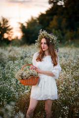 Ukrainian young girl in a white dress stands in the middle of a chamomile field with a large wreath at the ready