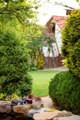 The beauty of nature in the garden, many green plants and trees