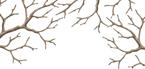 Background with dry bare branches. Decorative natural twigs.