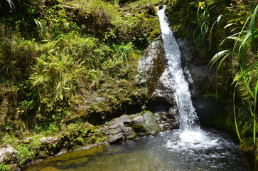 A waterfall spills into a pool