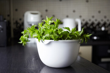 Fresh mint leaves in white bowl on wooden table. Green speamint © mikeosphoto