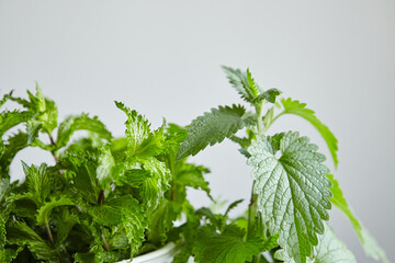 Fresh mint and melissa leaves in white bowl