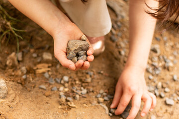 Little children's hands collect stones on the banks of the pond