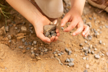 Little children's hands collect stones on the banks of the pond