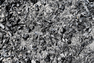 Ash with coal on fireplace texture