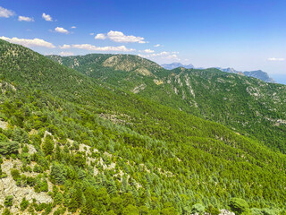 Naklejka na ściany i meble high mountains in a hot, tropical country. mountain with green bushes and herbs. plants grow on high mountains, a green carpet of herbs