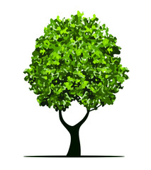 Fototapeta na wymiar Shape of green Tree with Leaves and Roots. Vector outline Illustration. Plant in Garden.