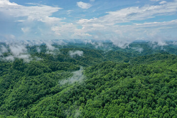 Fototapeta na wymiar Misty Clouds Over Green Mountains with Blue Sky
