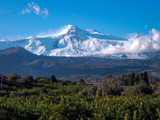Cartolina dell'Etna